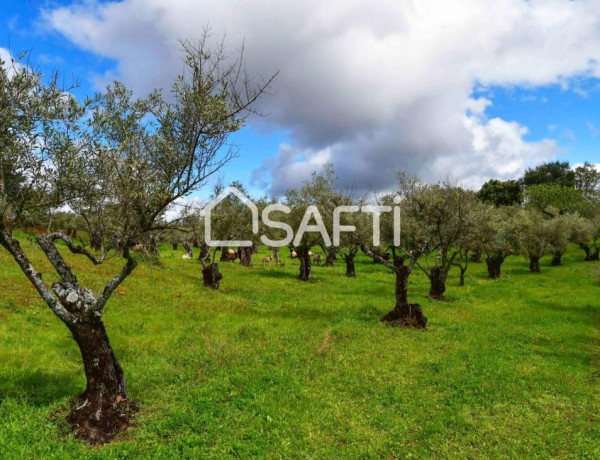 Rustic land For sell in Perales Del Puerto in Cáceres 