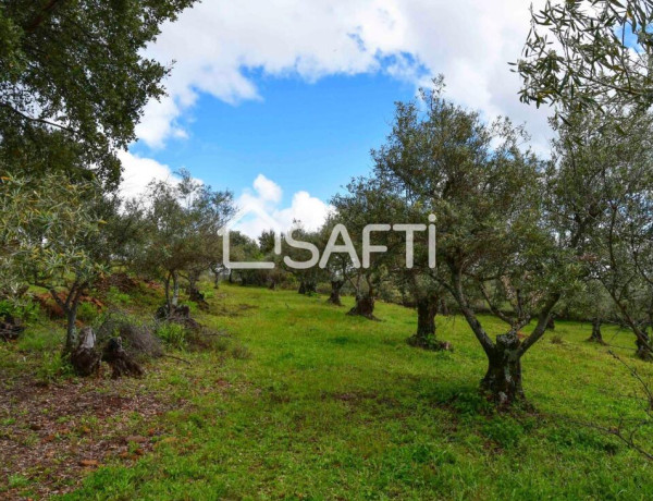 Rustic land For sell in Perales Del Puerto in Cáceres 