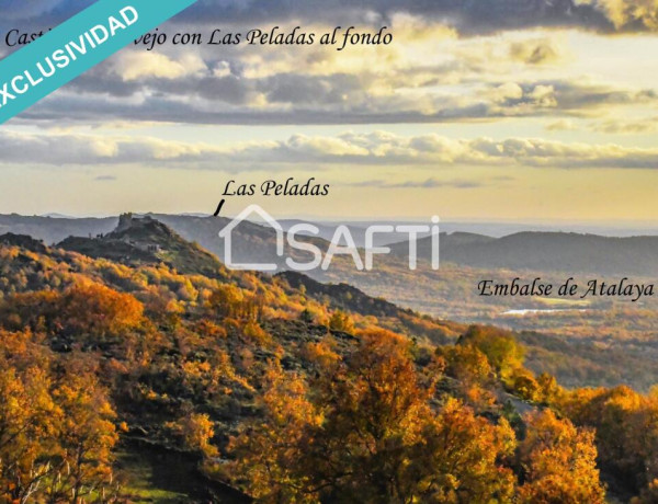 Te sentirás en el techo del mundo con las vistas espectaculares que ofrece esta finca maravillosa.