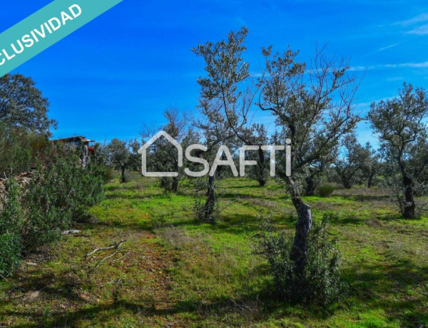 Finca de 19.500m2 con agua abundante en la Sierra de Gata