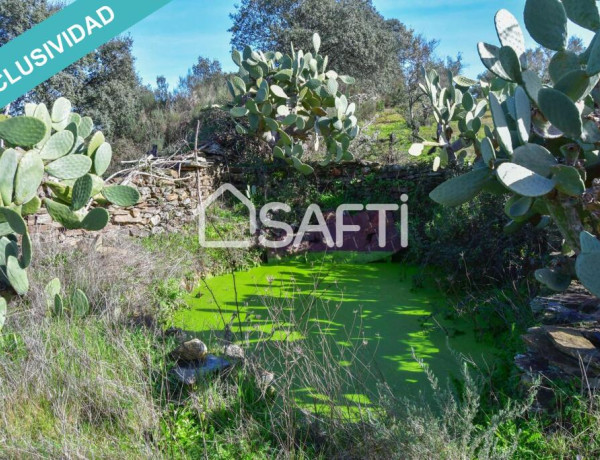 Finca de 19.500m2 con agua abundante en la Sierra de Gata