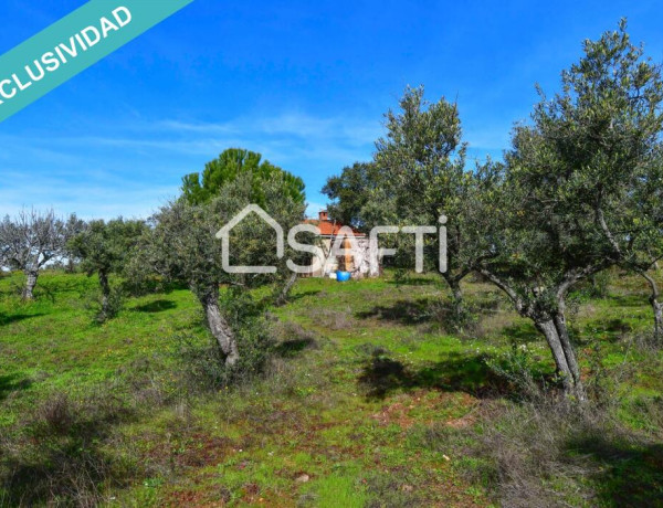 Finca de 19.500m2 con agua abundante en la Sierra de Gata