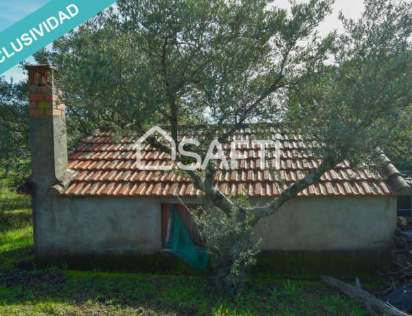 Finca de 19.500m2 con agua abundante en la Sierra de Gata