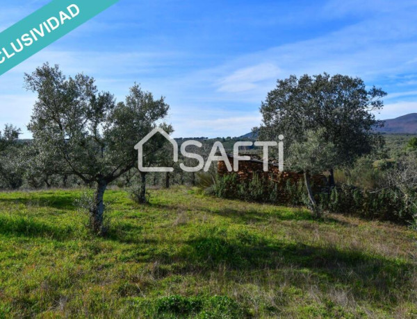 Finca de 19.500m2 con agua abundante en la Sierra de Gata