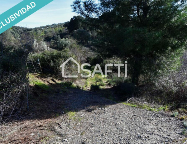 Finca de 19.500m2 con agua abundante en la Sierra de Gata