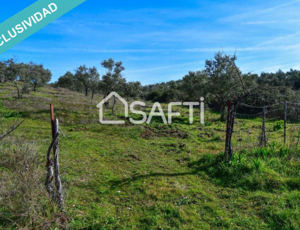 Finca de 19.500m2 con agua abundante en la Sierra de Gata