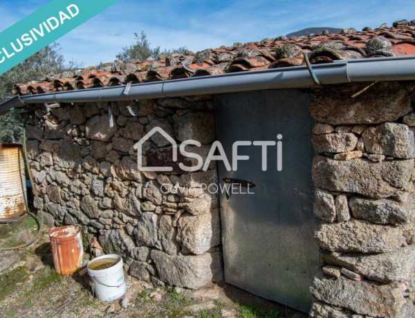 Descubre la magia del olivar en el corazón de la Sierra de Gata