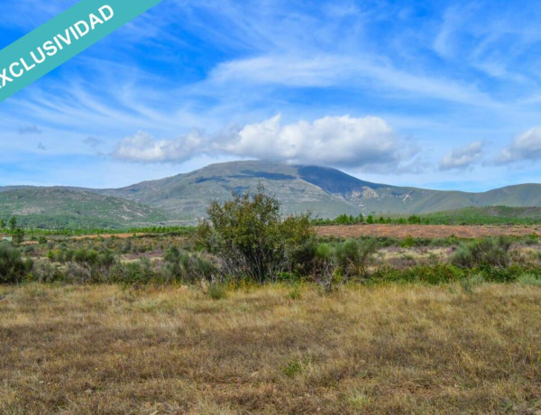 Finca agraria con agua en un entorno inmejorable.