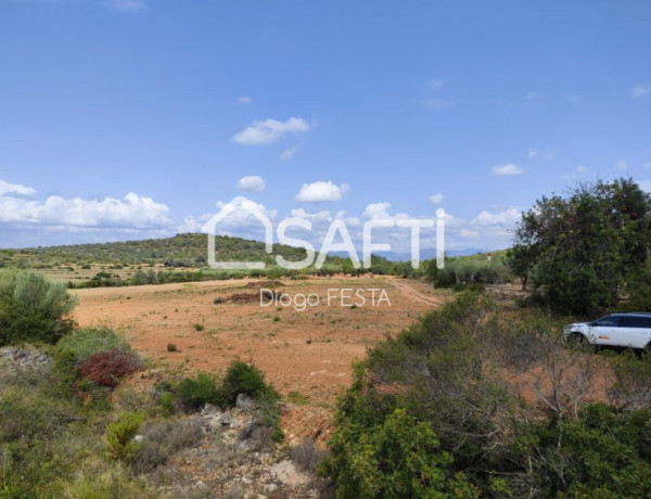 Terreno Rustico de 66,722 m2 Parcela con Caseta