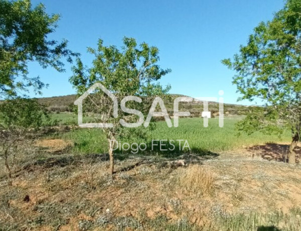 Terreno Rustico de 66,722 m2 Parcela con Caseta