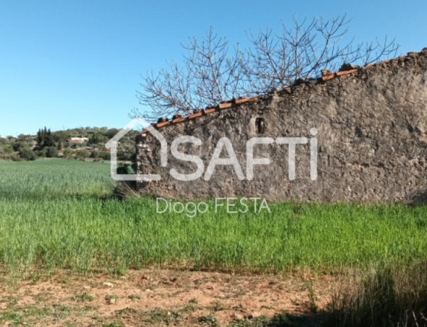 Terreno Rustico de 66,722 m2 Parcela con Caseta