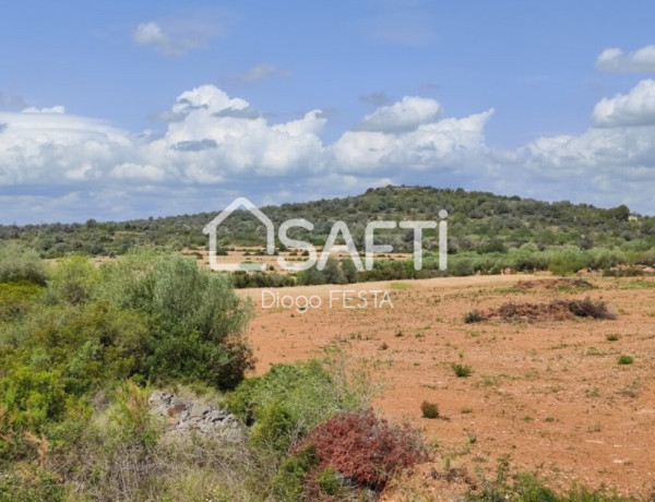 Terreno Rustico de 66,722 m2 Parcela con Caseta