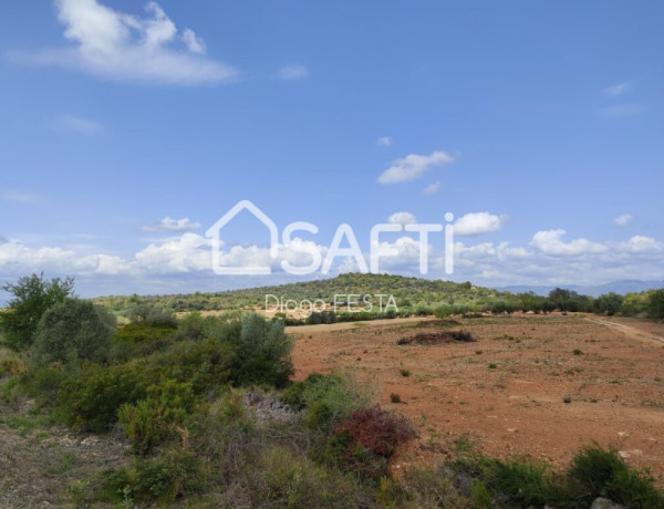 Terreno Rustico de 66,722 m2 Parcela con Caseta