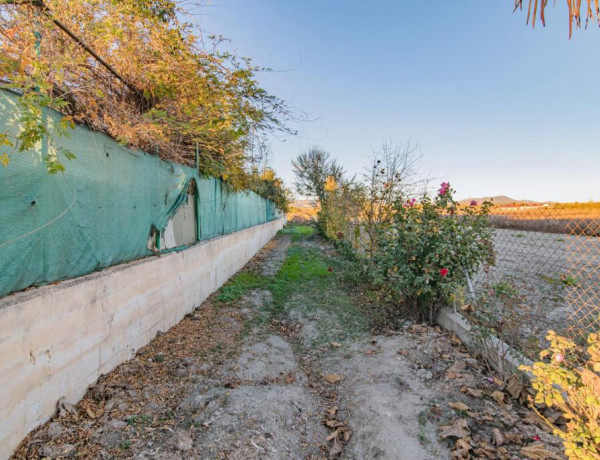 Terreno de unos 20 marjales  con casa de aperos.