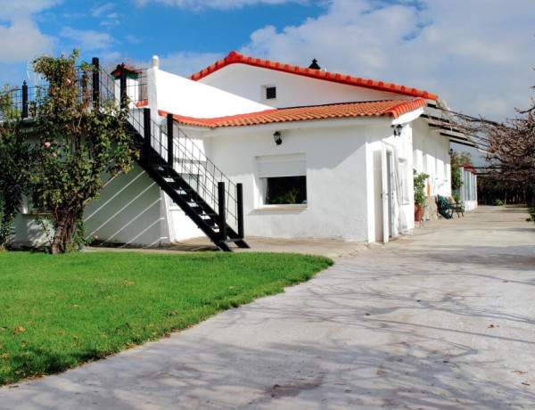 Finca con chalet independiente en venta en Fuente el Saz