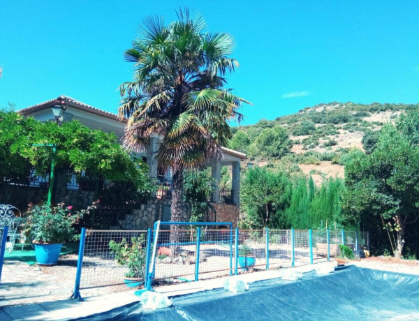 SE VENDE GRAN PARCELA CON OLIVOS, PISCINA Y CHALET