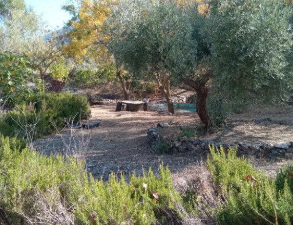 SE VENDE GRAN PARCELA CON OLIVOS, PISCINA Y CHALET