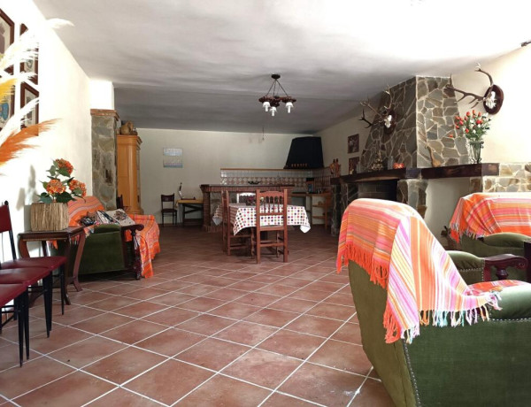 SE VENDE GRAN PARCELA CON OLIVOS, PISCINA Y CHALET