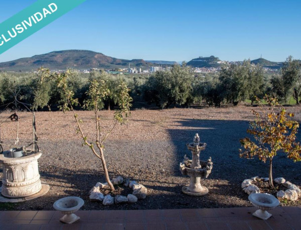 Finca de olivar con cortijo de lujo en Vilches