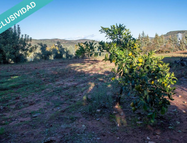 Finca de 7.000 m2 con piscina en Navas de San Juan.