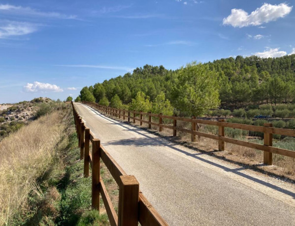 Rustic land For sell in Cehegin in Murcia 