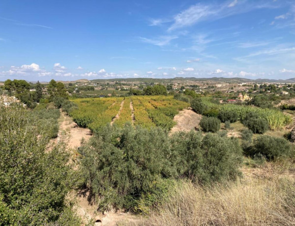 Rustic land For sell in Cehegin in Murcia 