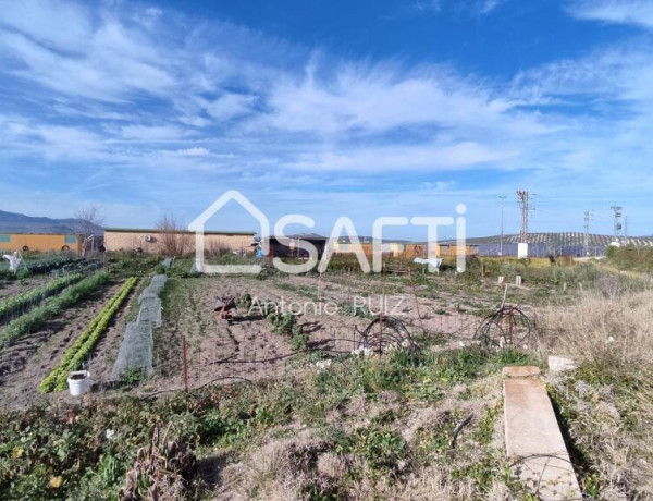 Granja con terreno de unos 20.000 m² y posibilidad de concesión de 200 ha de pastos. Zona Donadio. SIN COMISIÓN DE COMPRA..