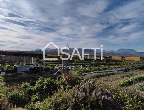 Granja con terreno de unos 20.000 m² y posibilidad de concesión de 200 ha de pastos. Zona Donadio. SIN COMISIÓN DE COMPRA..