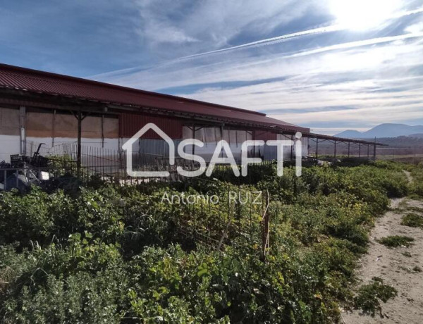 Granja con terreno de unos 20.000 m² y posibilidad de concesión de 200 ha de pastos. Zona Donadio. SIN COMISIÓN DE COMPRA..