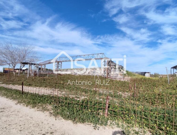 Granja con terreno de unos 20.000 m² y posibilidad de concesión de 200 ha de pastos. Zona Donadio. SIN COMISIÓN DE COMPRA..