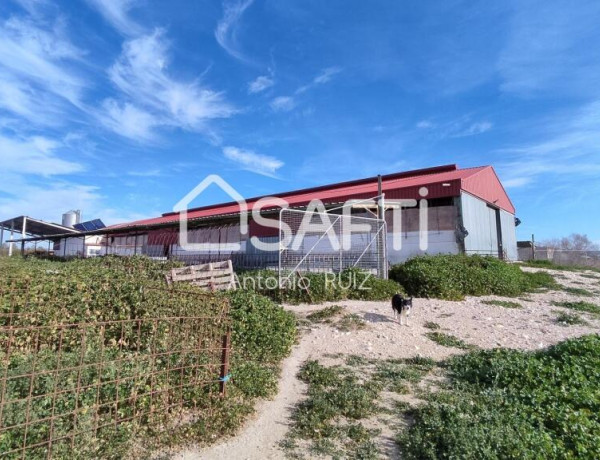 Granja con terreno de unos 20.000 m² y posibilidad de concesión de 200 ha de pastos. Zona Donadio. SIN COMISIÓN DE COMPRA..