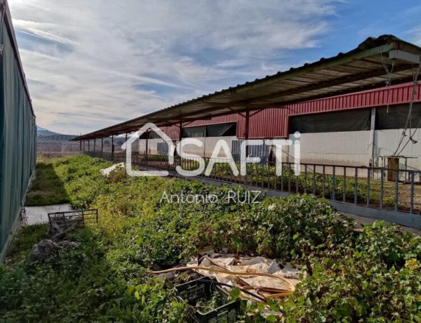 Granja con terreno de unos 20.000 m² y posibilidad de concesión de 200 ha de pastos. Zona Donadio. SIN COMISIÓN DE COMPRA..