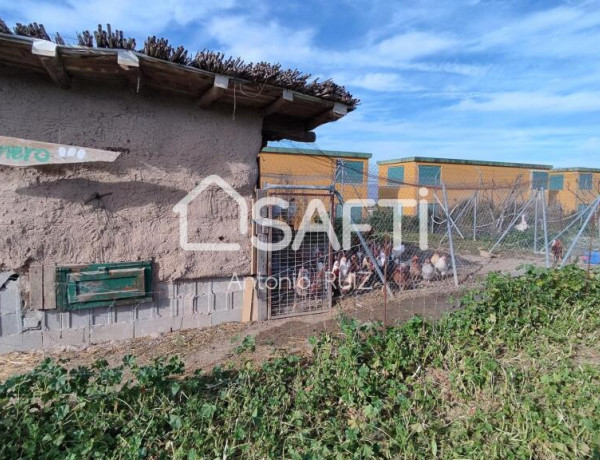 Granja con terreno de unos 20.000 m² y posibilidad de concesión de 200 ha de pastos. Zona Donadio. SIN COMISIÓN DE COMPRA..