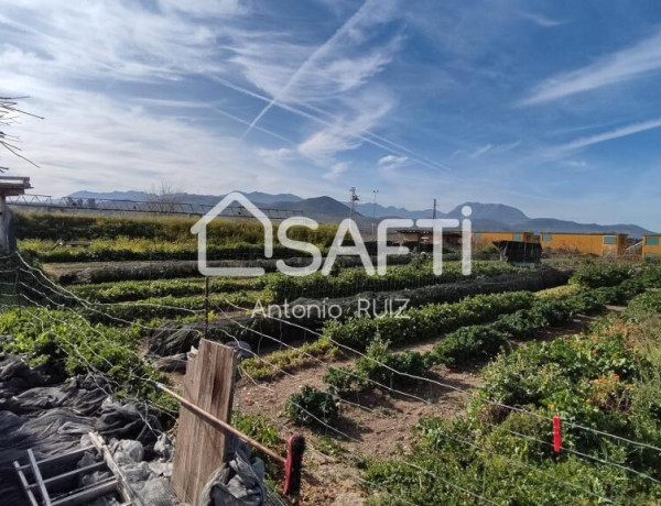 Granja con terreno de unos 20.000 m² y posibilidad de concesión de 200 ha de pastos. Zona Donadio. SIN COMISIÓN DE COMPRA..