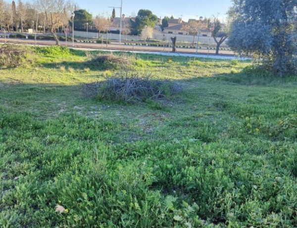 Ultimas parcelas en Urbanización La Hacienda de Cobisa, directo desde el Promotor...