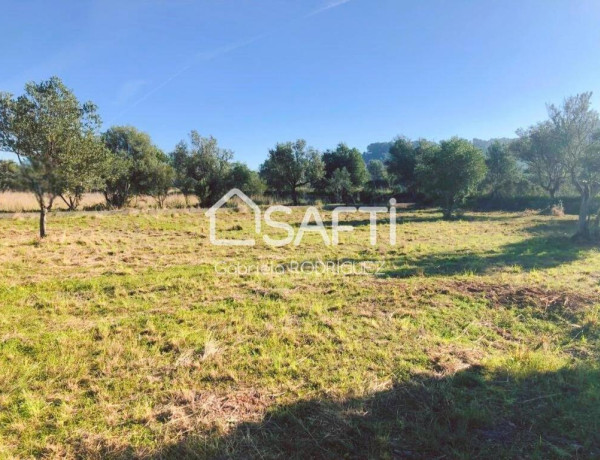 Rustic land For sell in Orba in Alicante 