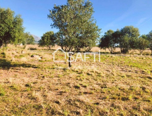 Rustic land For sell in Orba in Alicante 