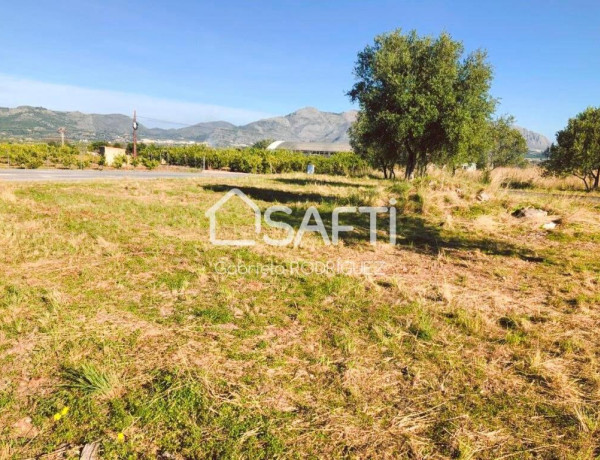 Rustic land For sell in Orba in Alicante 