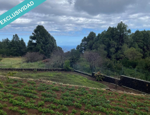 Finca rústica vallada y amurada con piedra natural.