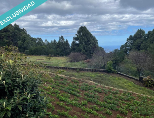 Finca rústica vallada y amurada con piedra natural.