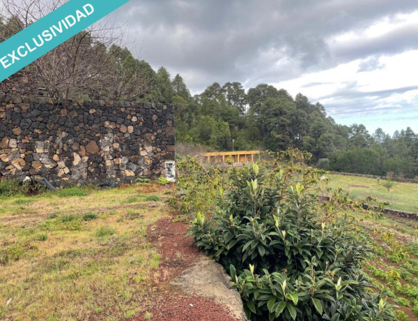 Finca rústica vallada y amurada con piedra natural.