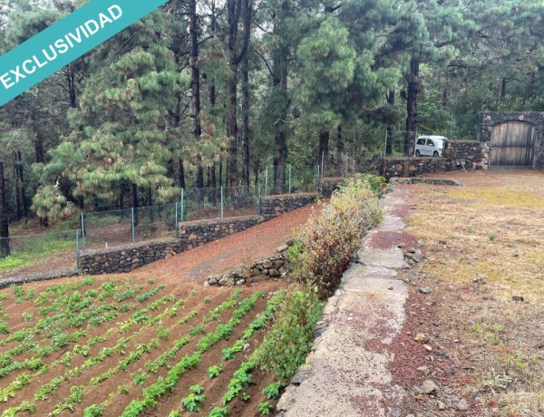 Finca rústica vallada y amurada con piedra natural.