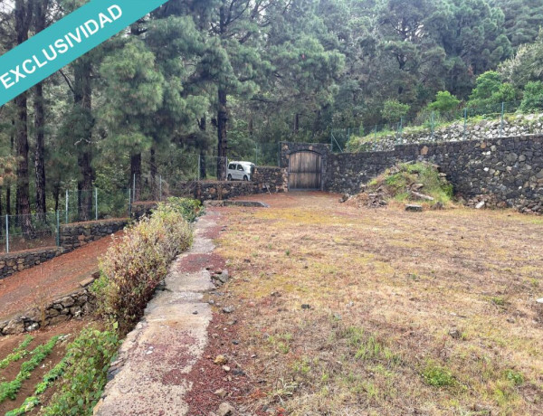 Finca rústica vallada y amurada con piedra natural.