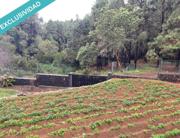 Finca rústica vallada y amurada con piedra natural.