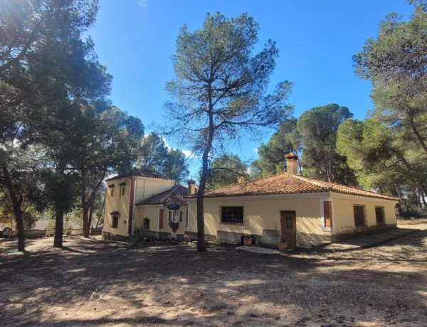 EXCELENTE OPORTUNIDAD!. FINCA AGRICOLA EN ONTINYENT CON GRAN VIVIENDA RENOVADA