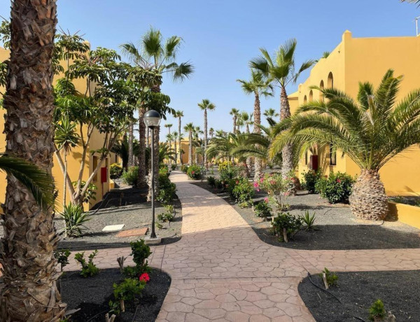 Piso en venta cerca del mar en Corralejo, Fuerteventura. ¡Descubre tu oasis isleño hoy mismo!