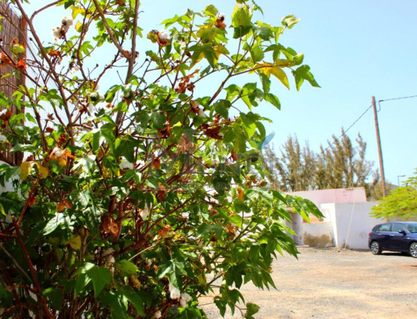 SE VENDE SOLAR CON 5 APARTAMENTOS EN TAMARETILLA, FUERTEVENTURA