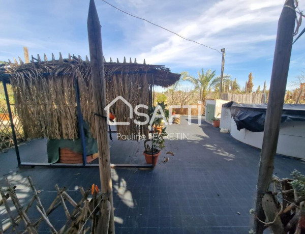 Rustic land For sell in Elche in Alicante 