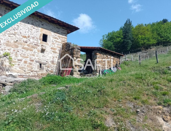 Se vende caserío con terreno agrícola y pinar en Baranbio