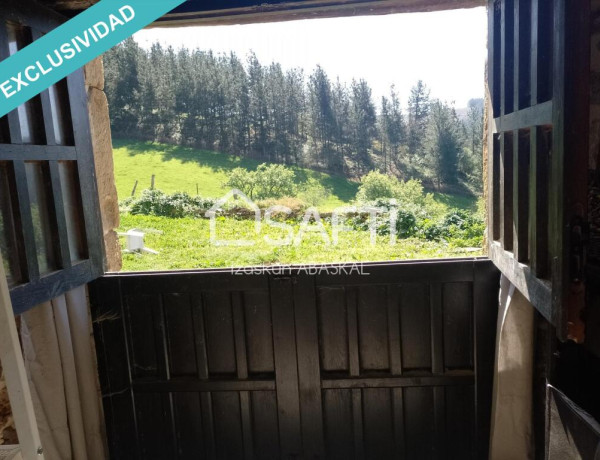 Se vende caserío con terreno agrícola y pinar en Baranbio